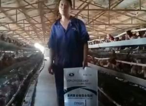 原保軍在河南安陽為益農(nóng)蛋雞預混料代言！
